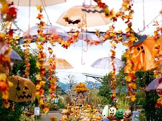 国営越後丘陵公園