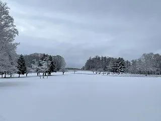 初雪降ったから…お願い冬眠して！