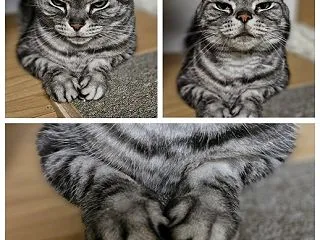 今日はおやすみ！