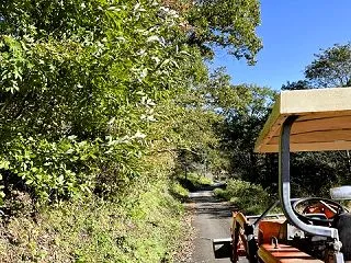 🦊10月28日（晴れ）外の作業をやっつけ…