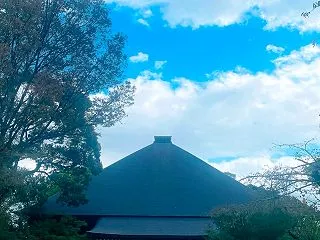 朝の境内で
