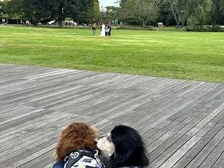 この時期恒例の公園へ〜