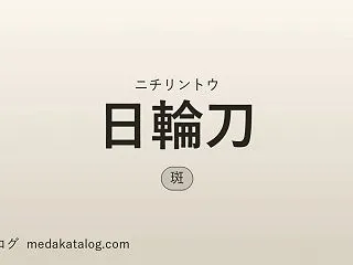 日輪刀（にちりんとう）とは｜特徴・値段・…