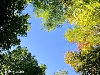体重、何かありました。