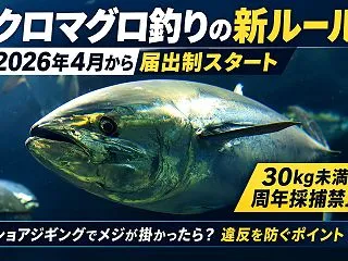 【2026年】クロマグロ釣りの新ルール｜…