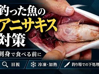 釣った魚のアニサキス対策｜サバ・アジ・イ…