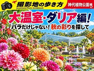 【撮影地の歩き方】バラだけじゃない！神代…