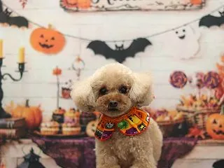 お友達ご紹介♪♪