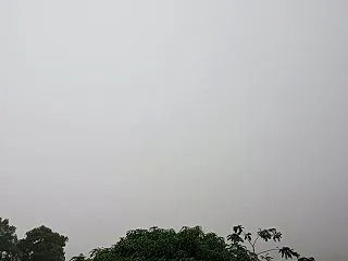 大雨が続き薄暗い中停電!何もできず猫と遊…