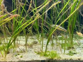 いおワールド鹿児島水族館４６