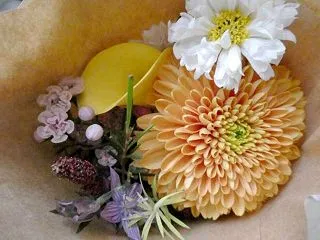 今頃気が付いた… お花の定期便 １０月は…