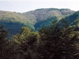 1１/3(祝）奥多摩ハイキング:天目山・…