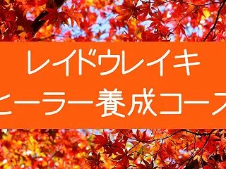 レイドウレイキ本部11月の予定