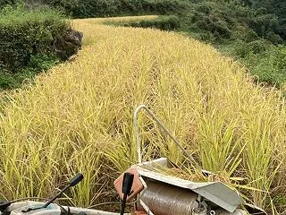 【 小さな 働き者 】