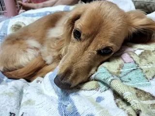寒くなってきましたね