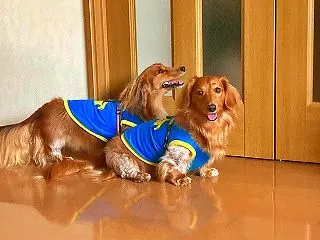 北風寒し・・・