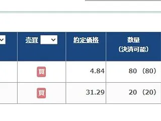 年利36％のトルコリラ。500万円を5年…