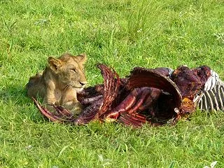 私は勝ち組、夫は負け組、食うか食われるか…