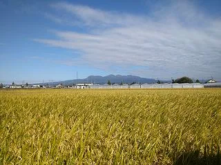 今季一番の寒さ