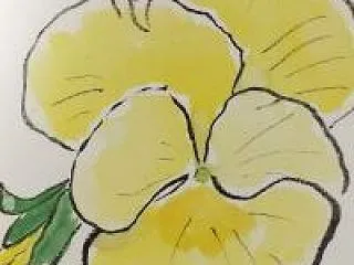 パンジーの絵手紙