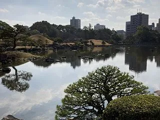 地元なのに久しぶり！水前寺公園をぶらぶら…