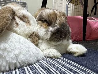 高齢の母の話＆夜中のまーくんとのイチャイ…
