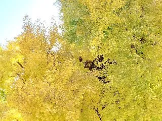 人のことはどーでもいい！と思えた件【神様…