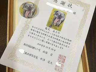 ご長寿犬表彰式＠区役所～♪