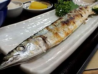  【日本のサカナ】【サンマ 秋刀魚 Sa…