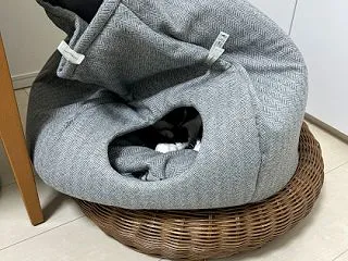 壺の季節