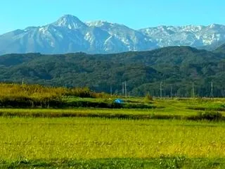 フルヒテブロートのご注文を頂き、たくさん…