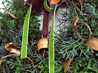 クリスマスが終わっても飾りたい、森のリー…