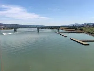食べたもの色々