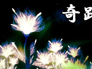 【2026/10/29更新】最新の怖い話…
