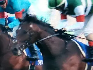 競馬天皇賞秋は東京競馬連対率100％のマ…