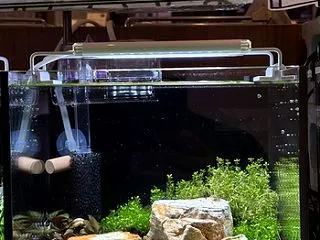 お持ち帰りレイアウト水入れしました～