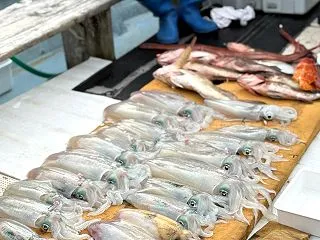 10月29日の釣果です。