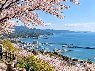 淡路島の釣りの時期｜月別・季節別に釣れる…