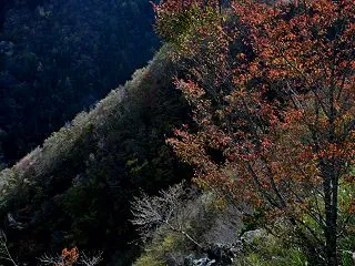 「標高1400ｍの秋」 （徳島県木屋平剣…