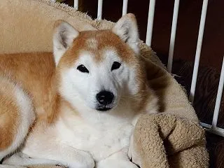 今朝は冷え込んだ・・・