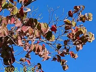１０月２８日