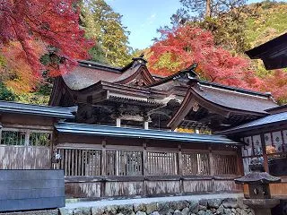 【岐阜の美濃地方】秋の紅葉狩り穴場スポッ…