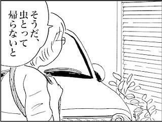 カエルの引っ越し
