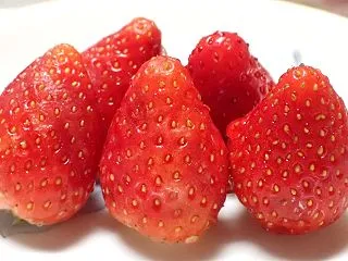 いちご 3日目