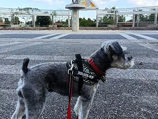 ムリをしないこと