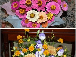 辰之介の日々 10月のお花・・・（家に来…