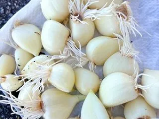 何事もコツコツやっとります