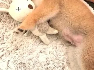 心から安心して