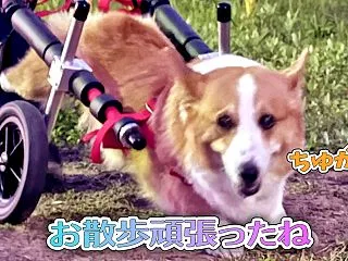 疲れちゃった？