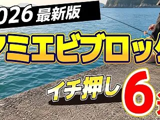 【2026年版】アミエビブロックおすすめ…
